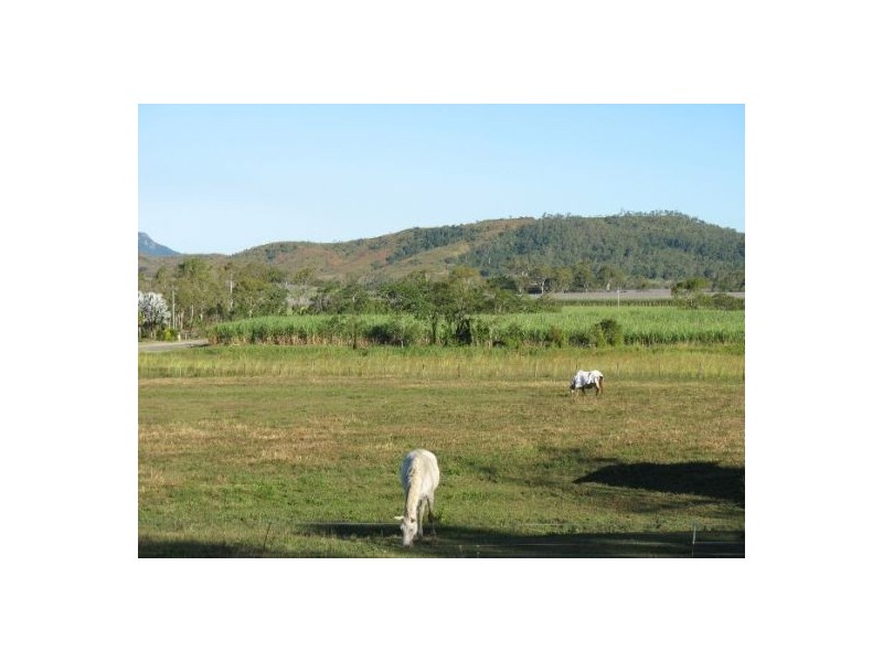 1457 Yakapari-Seaforth Road, Mount Jukes QLD 4740
