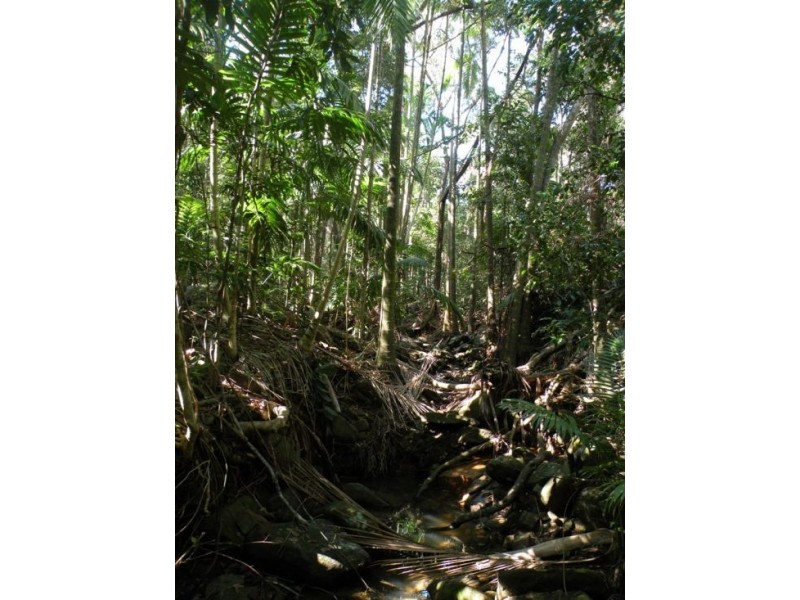 Lot 42 Pyms Road, Hampden QLD 4741