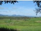 311 Shoal Point Road, Shoal Point QLD 4750