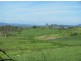 311 Shoal Point Road, Shoal Point QLD 4750