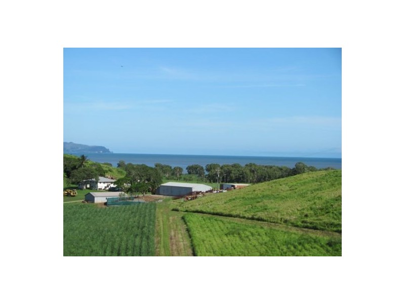 311 Shoal Point Road, Shoal Point QLD 4750