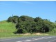 311 Shoal Point Road, Shoal Point QLD 4750