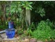 801 Yakapari-Seaforth Road, Mount Jukes QLD 4740