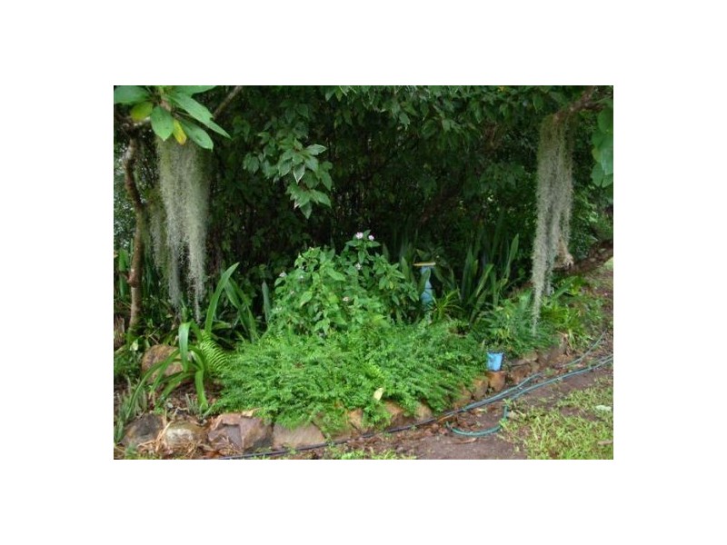 801 Yakapari-Seaforth Road, Mount Jukes QLD 4740