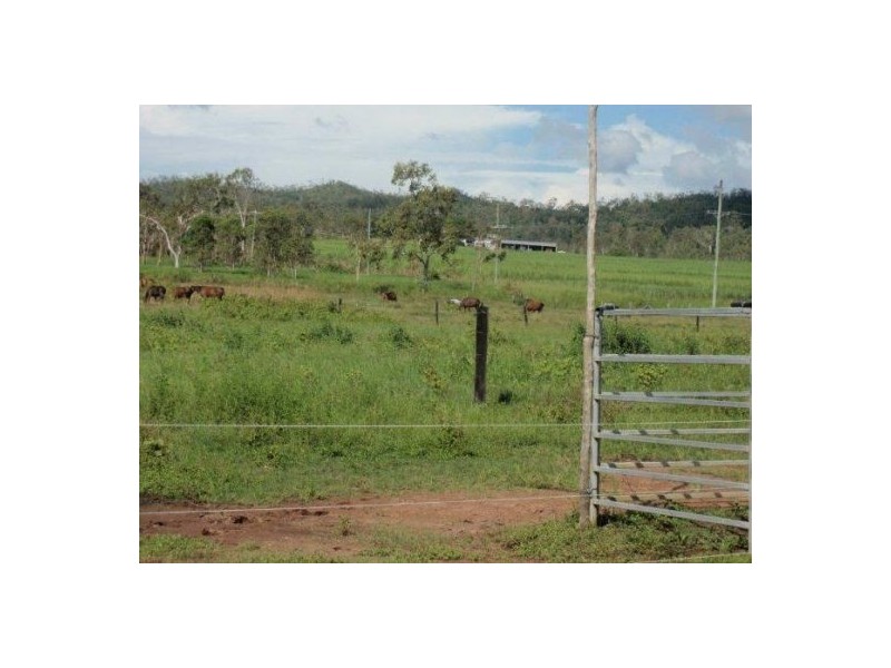 341 Mt Ossa-Seaforth Road, Mount Ossa QLD 4741