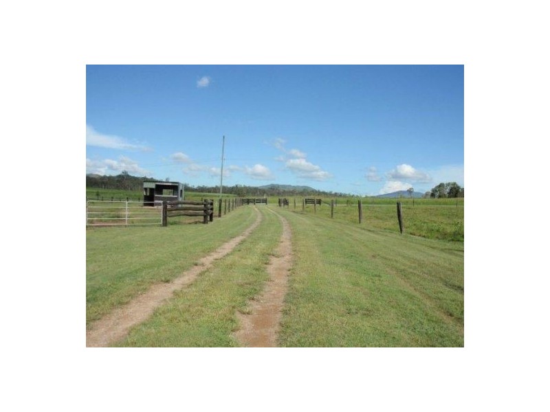 341 Mt Ossa-Seaforth Road, Mount Ossa QLD 4741