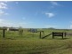 341 Mt Ossa-Seaforth Road, Mount Ossa QLD 4741