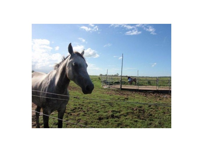 341 Mt Ossa-Seaforth Road, Mount Ossa QLD 4741