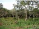 55 Windsor Drive, Hay Point QLD 4740