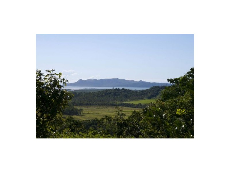 113 Neills Road, Habana QLD 4740