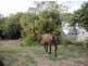 221 Slade Point Road, Slade Point QLD 4740
