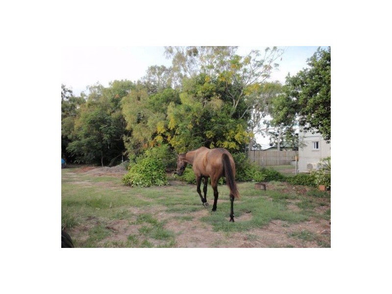 221 Slade Point Road, Slade Point QLD 4740