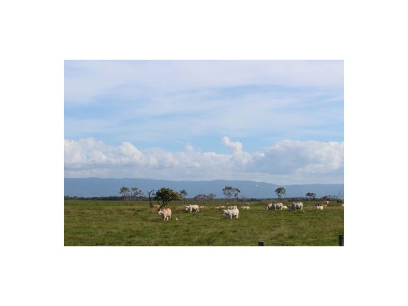 22 Moreton Bay Street, Forrest Beach QLD 4850