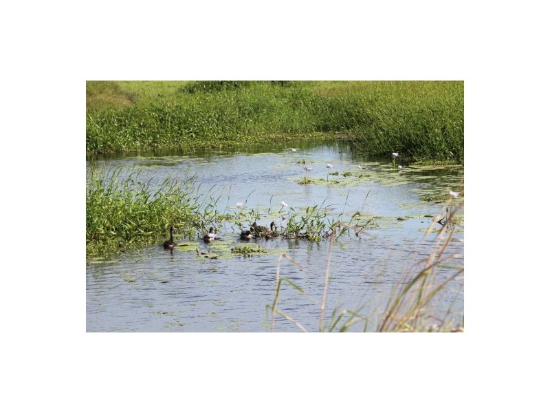 22 Moreton Bay Street, Forrest Beach QLD 4850