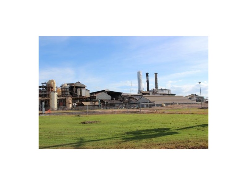 22 Moreton Bay Street, Forrest Beach QLD 4850