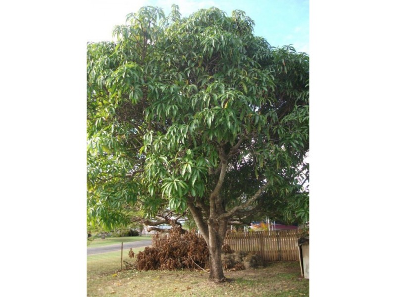 13 Rosella Street, St Helens Beach QLD 4798