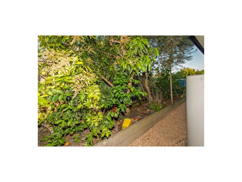 56 Spinnaker Way, Bucasia QLD 4750