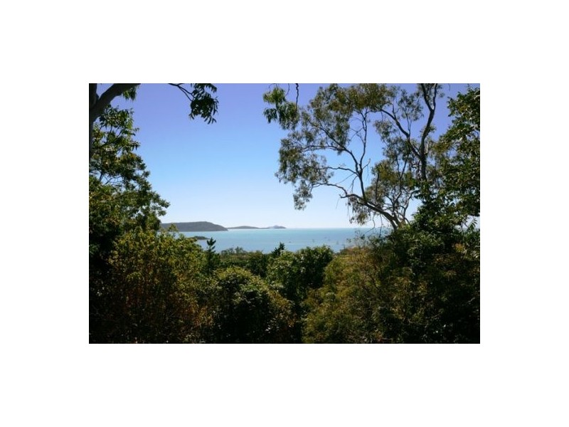 Cannonvale QLD 4802