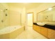 Airlie Beach QLD 4802
