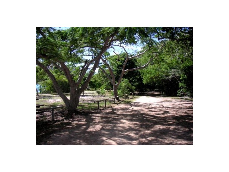 Dingo Beach QLD 4800