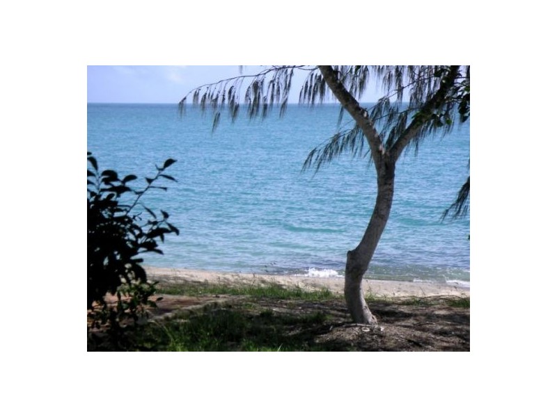 Dingo Beach QLD 4800
