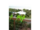 18 Roseric Crescent, Hideaway Bay QLD 4800