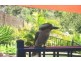 18 Roseric Crescent, Hideaway Bay QLD 4800