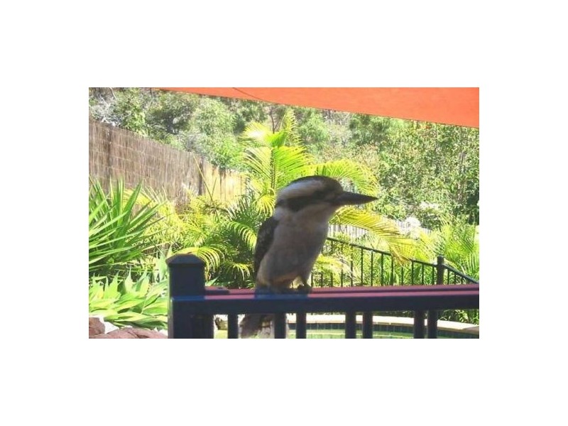 18 Roseric Crescent, Hideaway Bay QLD 4800
