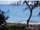 Dingo Beach QLD 4800