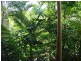 Airlie Beach QLD 4802