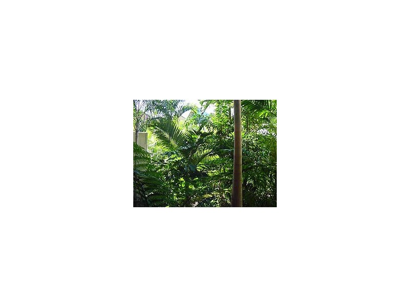 Airlie Beach QLD 4802