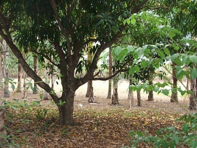 1514 Shute Harbour Road, Cannon Valley QLD 4800