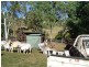 1117 Conway Road, Conway QLD 4800