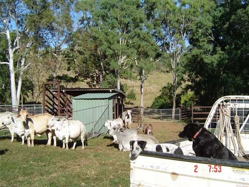 1117 Conway Road, Conway QLD 4800