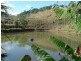 1117 Conway Road, Conway QLD 4800