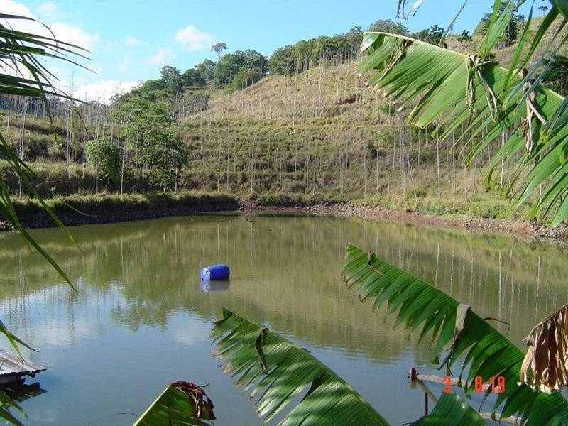 1117 Conway Road, Conway QLD 4800