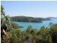 17 Passage Avenue, Shute Harbour QLD 4802