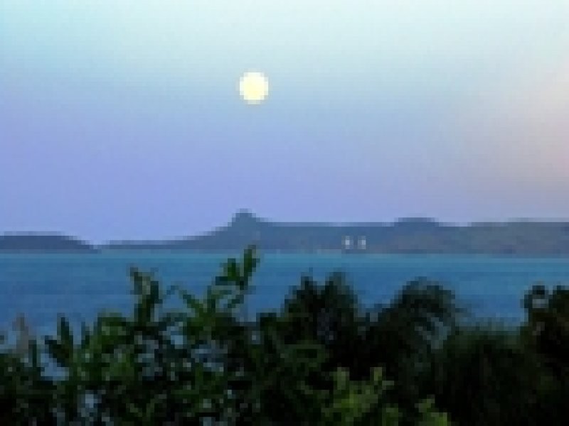 Shute Harbour QLD 4802