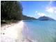 Dingo Beach QLD 4800