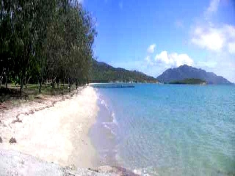Dingo Beach QLD 4800