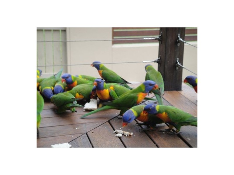 28 Murex St, Dingo Beach QLD 4800