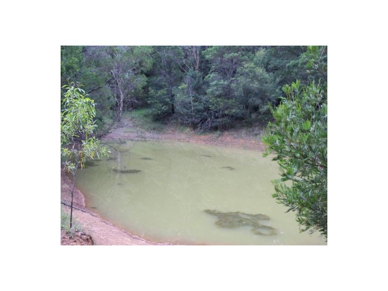 43 Comleroy, Kurrajong NSW 2758