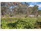 39 Pitt Town Dural Road, Pitt Town NSW 2756