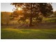 55 Schofield Road, Pitt Town NSW 2756