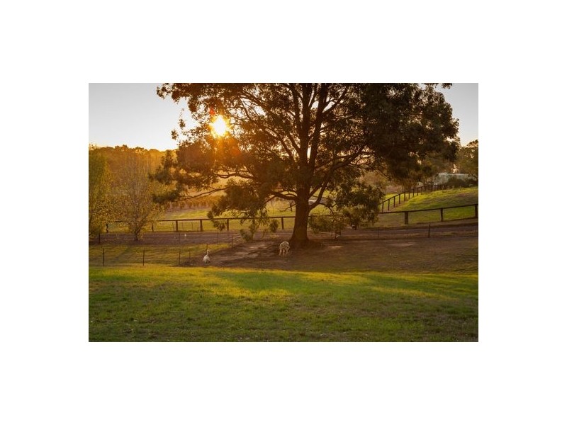 55 Schofield Road, Pitt Town NSW 2756