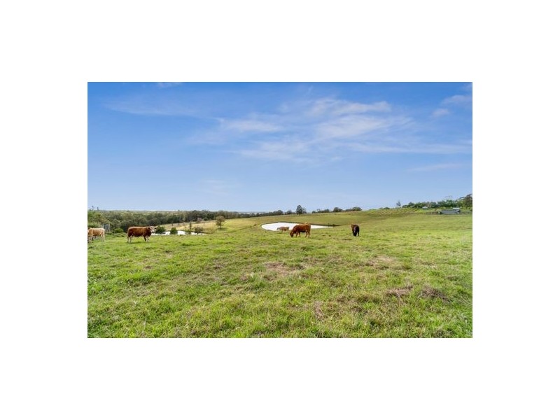 228 Grose Wold Road, Grose Wold NSW 2753