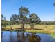 1 Murriwong Grove, Ebenezer NSW 2756