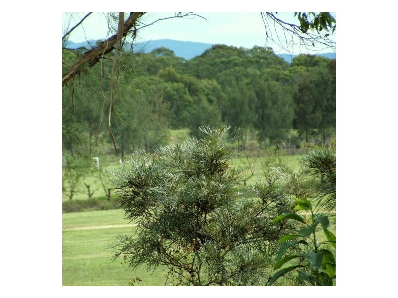 Freemans Reach NSW 2756