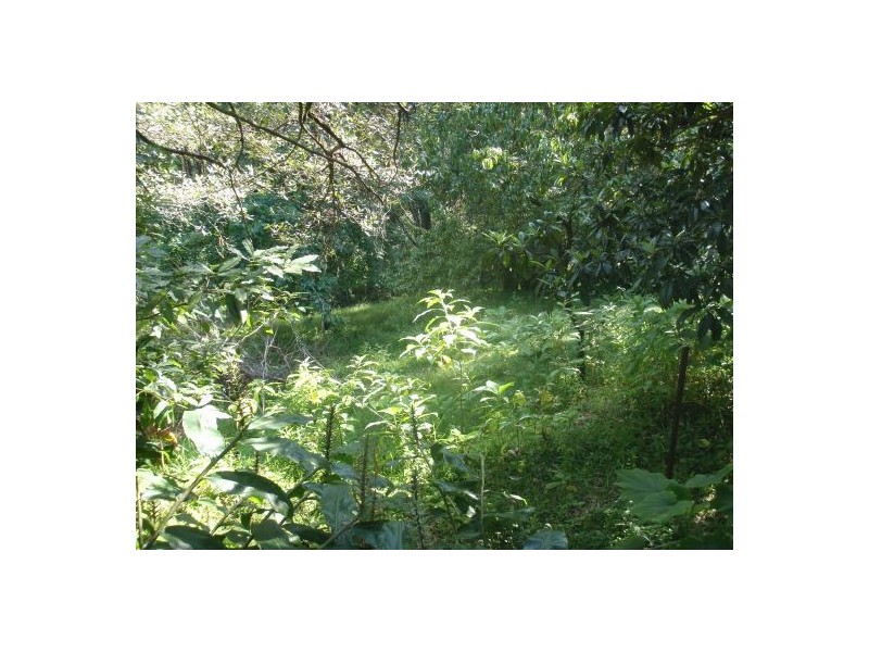 Kurrajong Heights NSW 2758