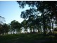Kurrajong NSW 2758